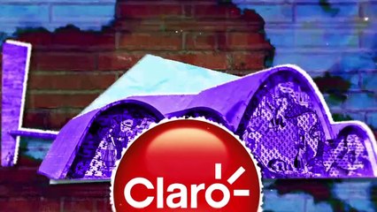 Ricardo Amado 15/06/23