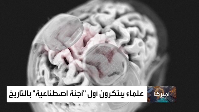 الغارديان: اقتراب ولادة كائن بشري دون بويضات أو حيوانات منوية