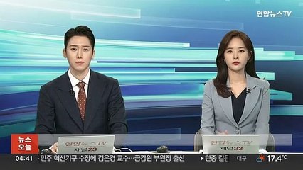 미국 등 나토 4개국 "우크라에 방공미사일 전달 중"