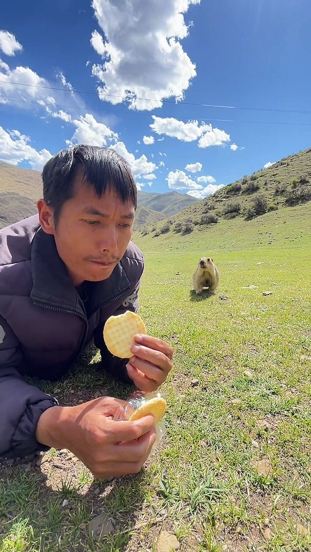 Animals lover  animals videos