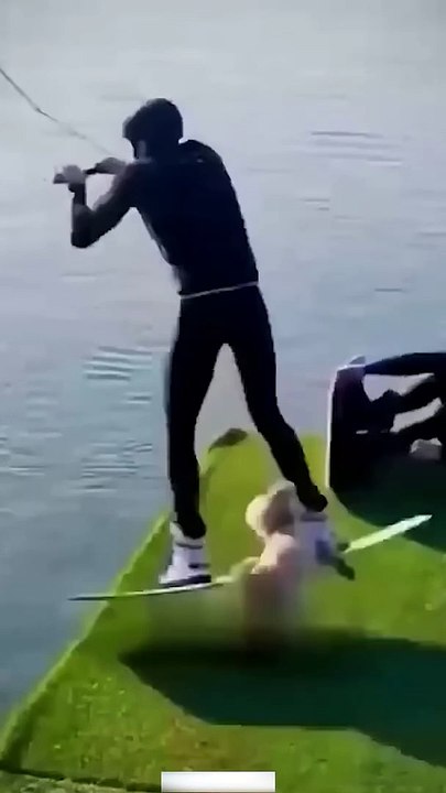 Funny Animal Videos Of The Day 0030!  #fyp #memes #memedaily #dankmemes