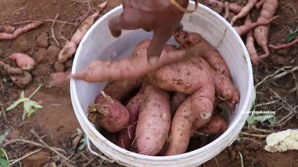 Sweet Potato Pan Cake -Grandma