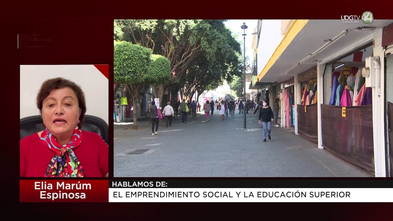 El emprendimiento social y la educación superior. Elia Marúm Espinosa