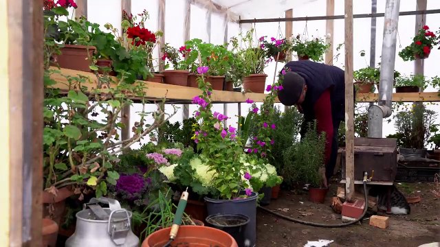 Beef Qutab -Azerbaijani Dish
