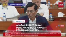 Alasan Luhut Pakai Pengawas Bule di Proyek Pembangunan IKN: Untuk Menjaga Kualitas!