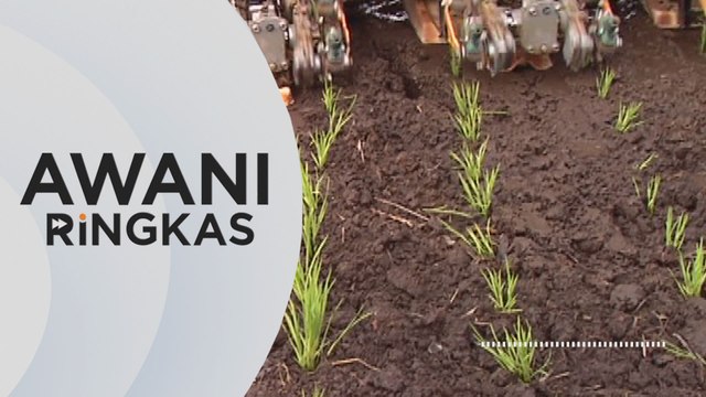AWANI Ringkas: Isu sekuriti makanan negara