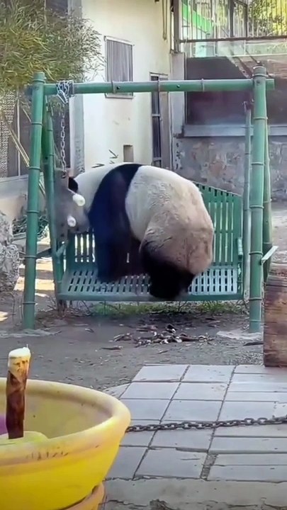 Brews, Bites, and Good Times Unleash the Fun with Beer and Food