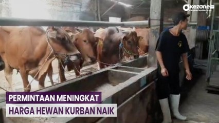 Jelang Hari Raya Idul Adha, Harga Hewan Kurban Mulai Naik