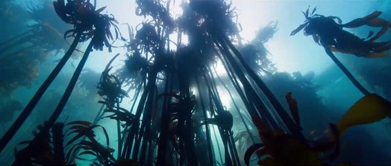 Les Gardiennes de la planète Bande-annonce (RU)
