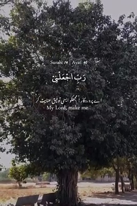 DUA