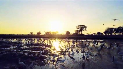 Vem aí: PANTANAL! A maior força da natureza é o amor  | TV Globo