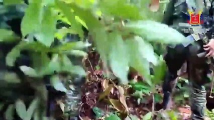 Hallan con vida a los cuatro niños desaparecidos hace más de un mes en la selva de Colombia