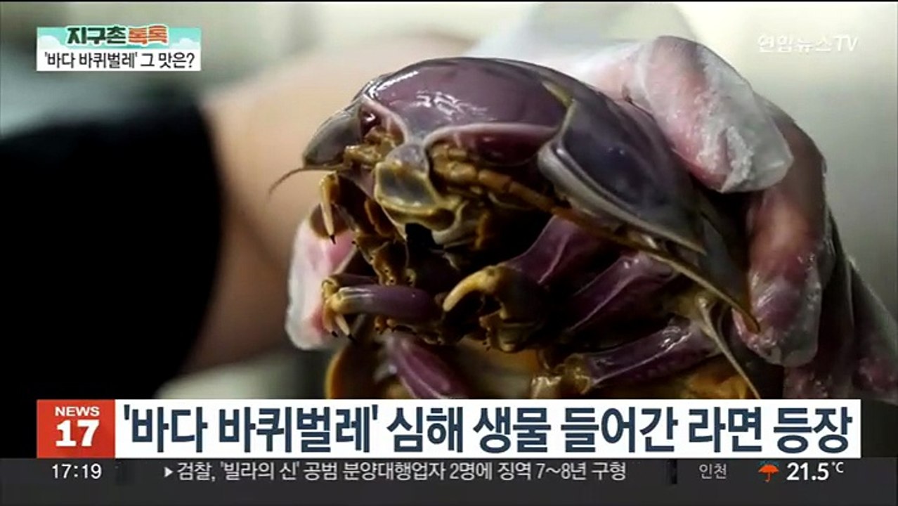 [지구촌톡톡] '꿈의 식재료'라지만 생김새가…대만 이색 라면 外