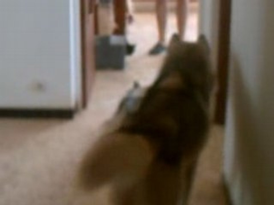 CLIP0006