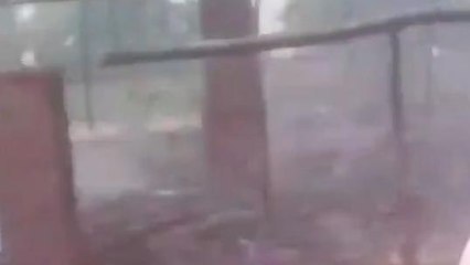 हरदोई: पोल्ट्री फार्म में लगी भीषण आग, पांच हजार चूजों की जलकर मौत