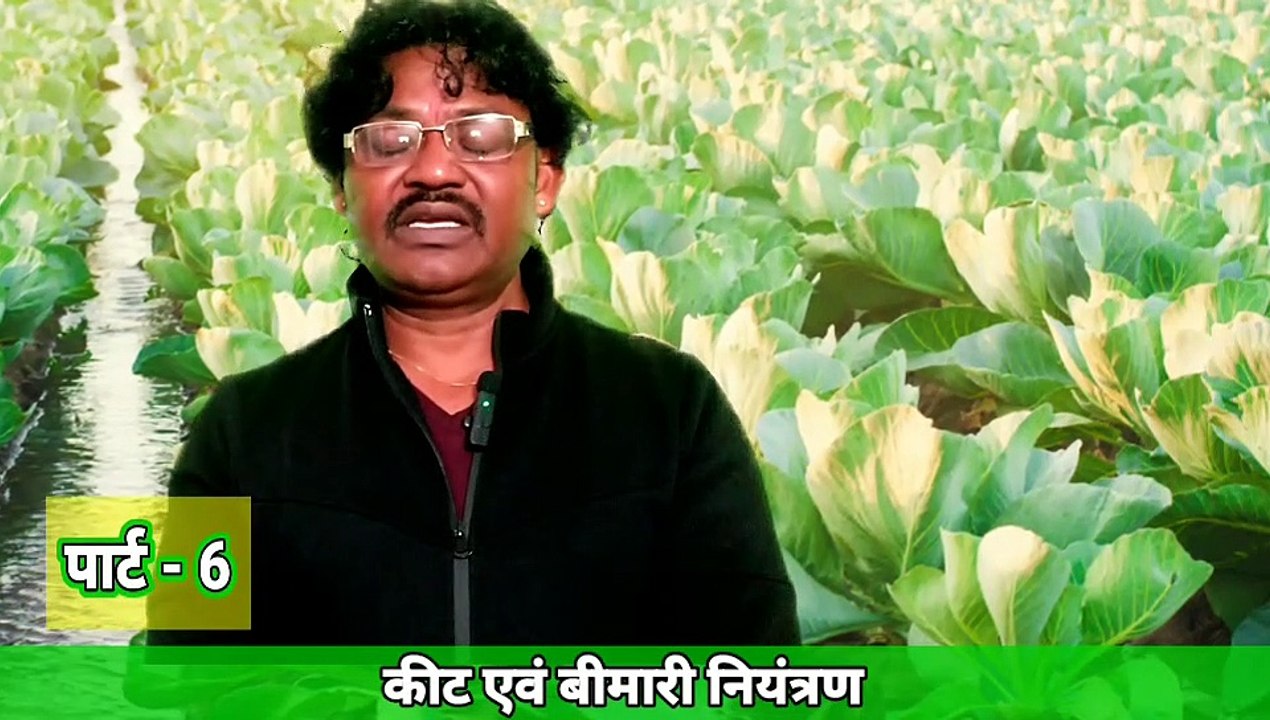 Cabbage IPM