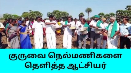 நாகை: குருவை சாகுபடியை துவக்கி வைத்த ஆட்சியர்!