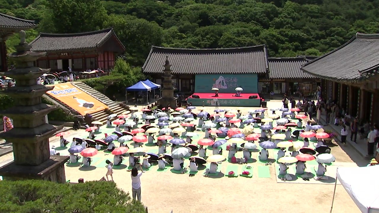 여름의 문턱...산과 바다에서 열린 축제 '만끽' / YTN