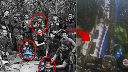Kolombiya'da düşen uçaktan sağ kurtulan çocuklar 40 gün sonra bulundu