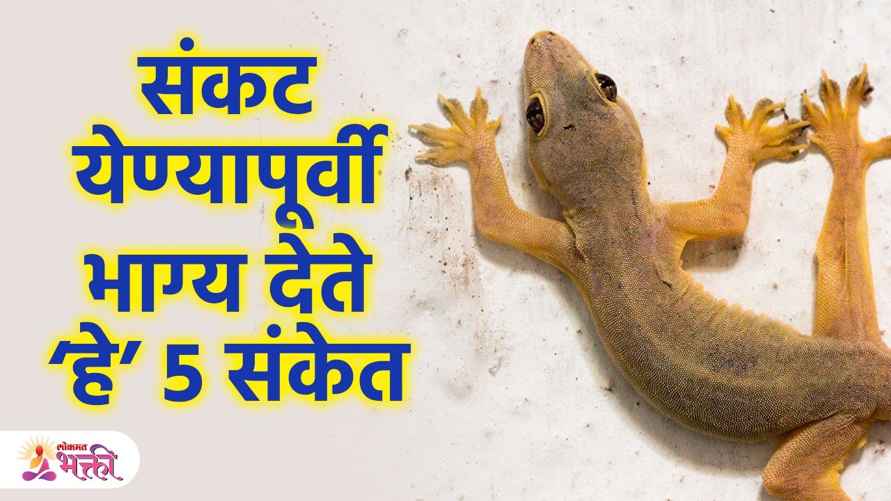 संकट येण्यापूर्वी भाग्य देते हे 5 संकेत | 5 Signs Not to Ignore That Appear Before Bad Times | SG3