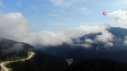 Sis Bulutları ile Kaplanan Ilgaz Dağı'nda Mest Eden Görüntüler
