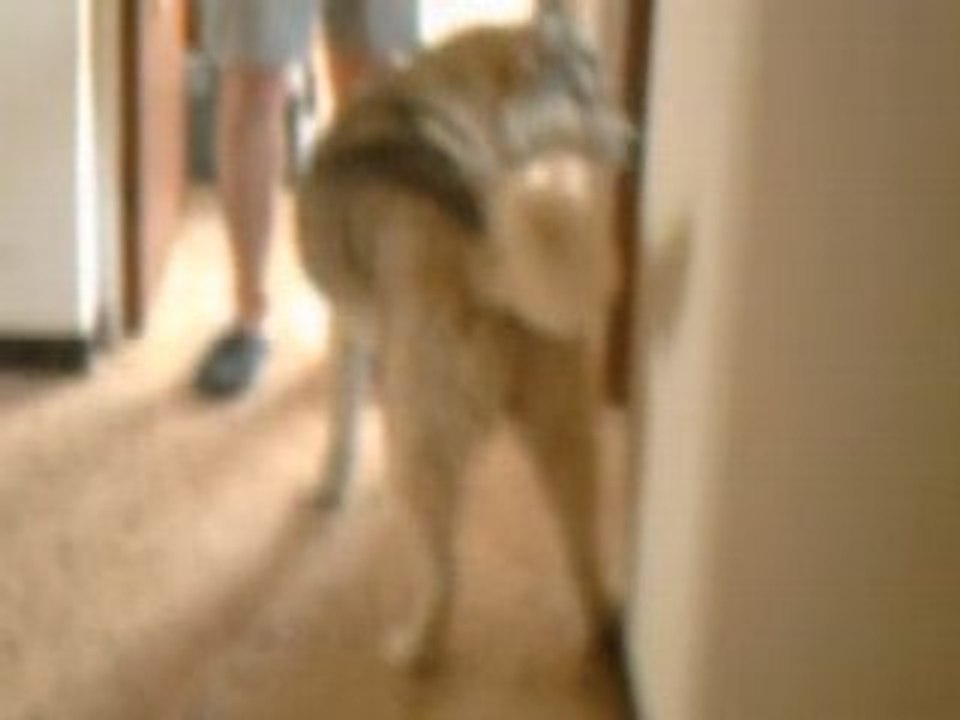 CLIP0012