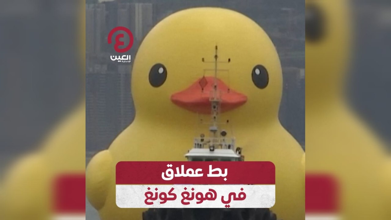 بط عملاق في هونغ كونغ