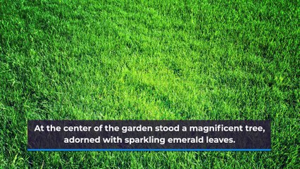 A Magical Story of Poor Family boy