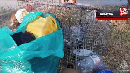 Sel bölgesinin Rusların kontrolünde olan kısmında tahliyeler devam ediyor