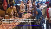 Harga Ayam Potong di Bandung Melambung Jelang Iduladha