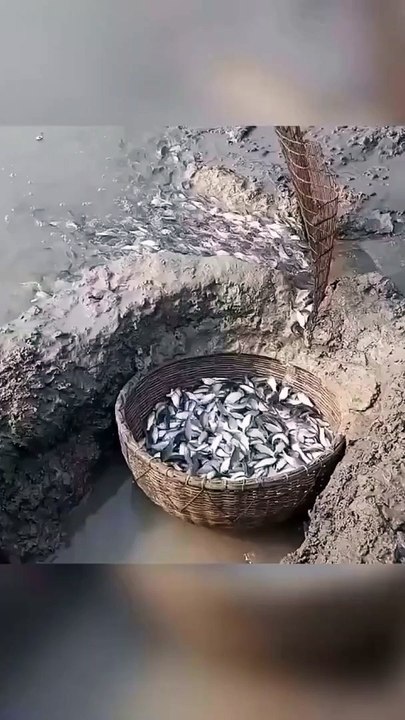 Perangkap Ikan