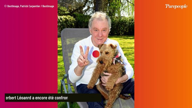 Herbert Léonard fatigué et faible : sa femme en dit plus après son passage en réanimation