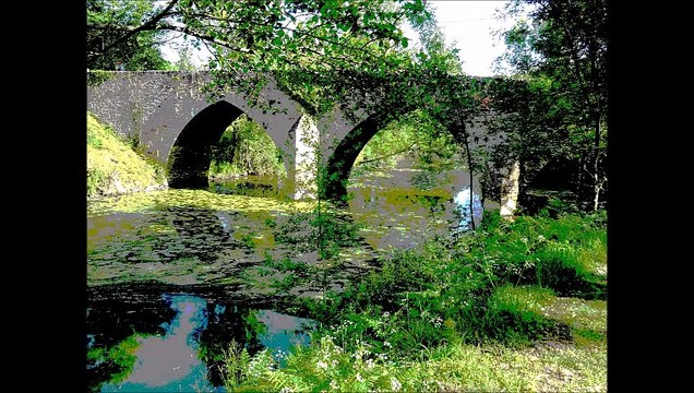 Rivières et fleuves (montage artistique) - Musique : Galope de la Malbaie (traditionnel québécois) - Eric : guitares, mandolines.