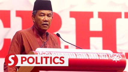 Tok Mat: Don't kill the Umno tree