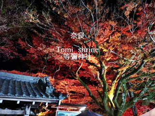Nara Tomi  shrine  等彌神社