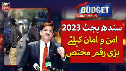 Sindh govt allocated funds for law and order