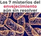 10. Los 7 Misterios del Envejecimiento Aun Sin Resolver