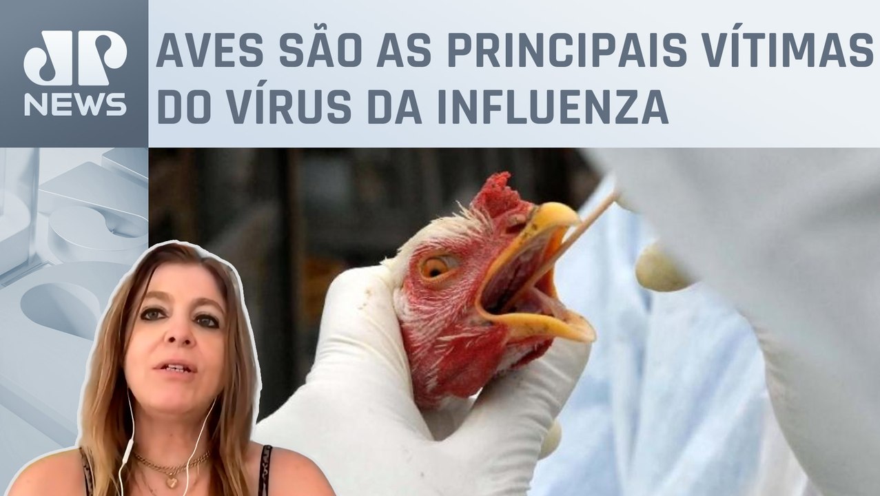 Quais os riscos da gripe aviária à saúde dos hu...