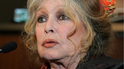 GALA VIDEO - “Les bonnes femmes sont trop…” : Brigitte Bardot, son avis cash sur le féminisme