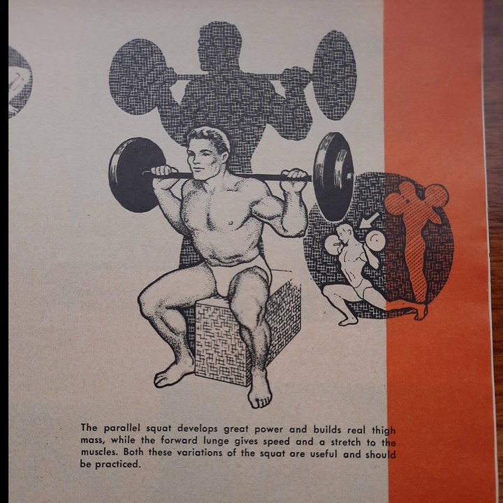 Box Squat History