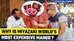 Know all about Miyazaki Mango: World's most expensive mango costs ₹2.75 lakh per kg | Oneindia News