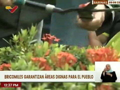 En unión cívico-militar realizan trabajos de mantenimiento de zonas educativas en el estado Barinas