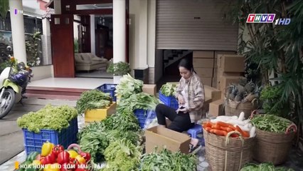 HOA HỒNG CHO SỚM MAI TẬP 6  |  MỘT CÚ ĐẠP , TRỊ GIÁ VẠN LẦN ĐAU - PHIM VN 2023