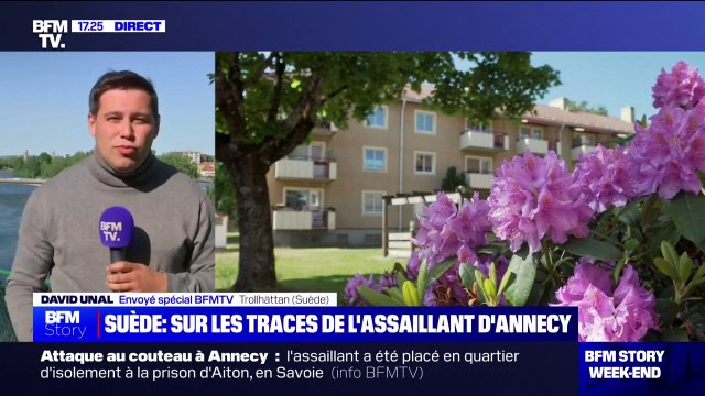 Attaque au couteau à Annecy: ce que l'on sait du parcours de l'assaillant, de la Syrie à la Suède