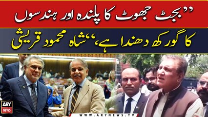 Shah Mehmood Qureshi says "budget is the cradle of lies and a hoax of numbers"