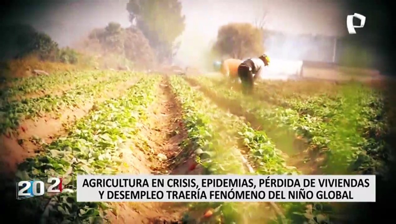 Fenómeno El Niño Global causaría crisis en agricultura, epidemias, pérdida de viviendas y desempleo