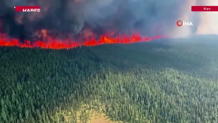Kanada’daki orman yangınlarında 4,5 milyon hektarlık alan küle döndü