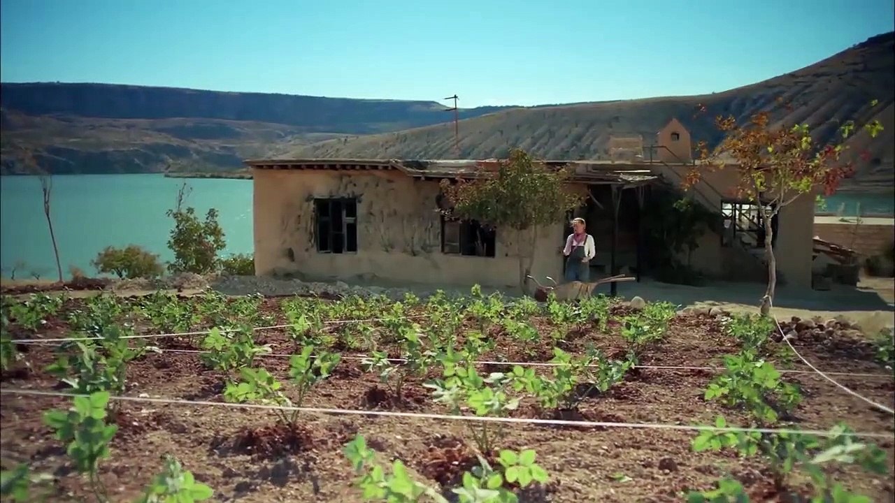 مسلسل ورد وشوك الحلقة 50