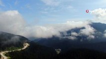 Images fascinantes de la montagne Ilgaz couverte de nuages ​​​​de brouillard