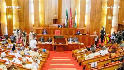 NASS Leadership election and it's consequences | Inside Stuff